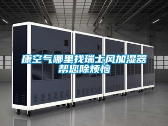 行業新聞康空氣哪里找瑞士風加濕器幫您除煩惱