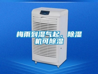 行業新聞梅雨到濕氣起，除濕機可除濕