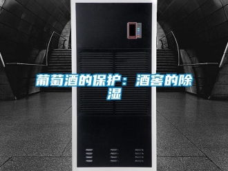行業(yè)新聞葡萄酒的保護(hù)：酒窖的除濕