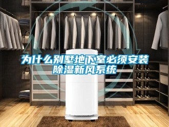 行業新聞為什么別墅地下室必須安裝除濕新風系統