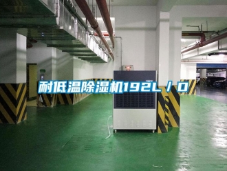 行業(yè)新聞耐低溫除濕機(jī)192L／D