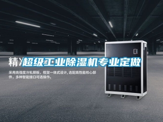 常見問題超級工業(yè)除濕機專業(yè)定做