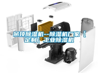 企業新聞吊頂除濕機--除濕機廠家【定制】工業除濕機