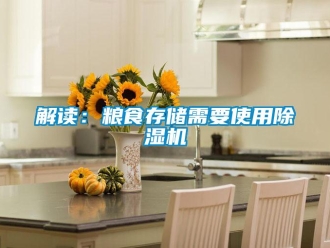 行業(yè)新聞解讀：糧食存儲需要使用除濕機(jī)