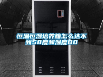 知識百科恒溫恒濕培養箱怎么達不到58度和濕度80