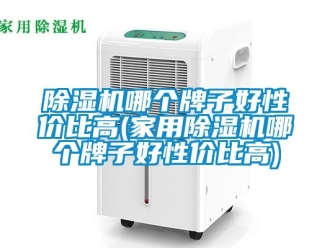 常見問題除濕機(jī)哪個牌子好性價比高(家用除濕機(jī)哪個牌子好性價比高)