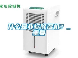 行業新聞什么是非標除濕機？_重復