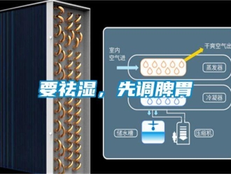 知識百科要祛濕，先調脾胃