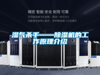 行業新聞濕氣殺手——除濕機的工作原理介紹