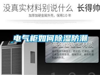 企業(yè)新聞電氣柜如何除濕防潮