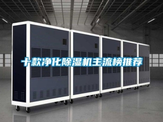 行業新聞十款凈化除濕機主流榜推薦