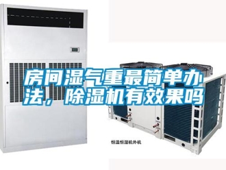 行業新聞房間濕氣重最簡單辦法，除濕機有效果嗎