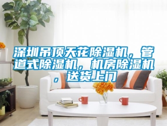 行業新聞深圳吊頂天花除濕機，管道式除濕機，機房除濕機，送貨上門