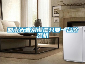 行業新聞回南天告別潮濕只要一臺除濕機