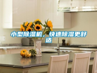 行業新聞小型除濕機，快速除濕更舒適