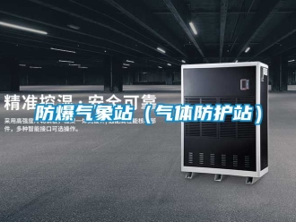 企業新聞防爆氣象站（氣體防護站）