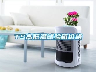 常見問題TS高低溫試驗箱價格