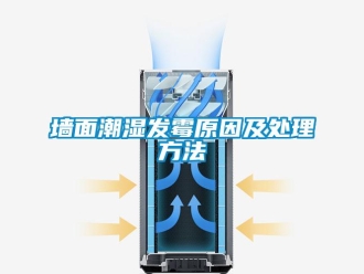 行業(yè)新聞墻面潮濕發(fā)霉原因及處理方法