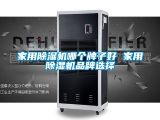 企業新聞家用除濕機哪個牌子好 家用除濕機品牌選擇