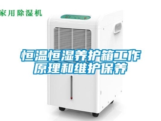 知識百科恒溫恒濕養護箱工作原理和維護保養