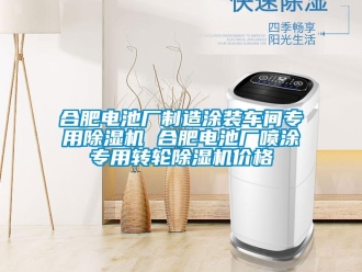 常見問題合肥電池廠制造涂裝車間專用除濕機 合肥電池廠噴涂專用轉輪除濕機價格