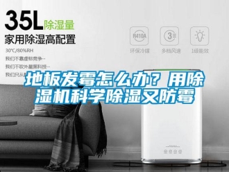 行業新聞地板發霉怎么辦？用除濕機科學除濕又防霉