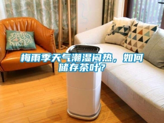 常見問題梅雨季天氣潮濕悶熱，如何儲存茶葉？