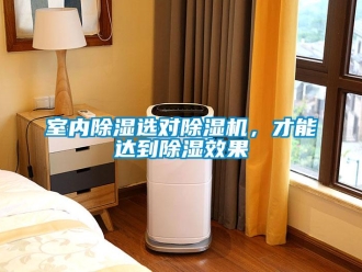 知識百科室內除濕選對除濕機，才能達到除濕效果