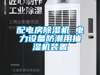 行業(yè)新聞配電房除濕機 電力設(shè)備防潮用抽濕機裝置