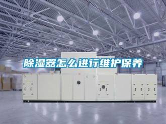行業新聞除濕器怎么進行維護保養
