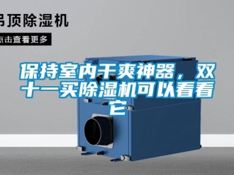 企業(yè)新聞保持室內(nèi)干爽神器，雙十一買(mǎi)除濕機(jī)可以看看它