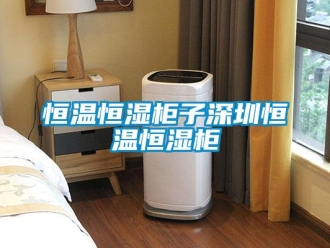知識百科恒溫恒濕柜子深圳恒溫恒濕柜