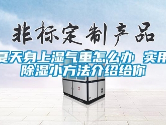 企業新聞夏天身上濕氣重怎么辦 實用除濕小方法介紹給你