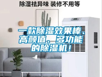 行業(yè)新聞一款除濕效果棒、高顏值、多功能的除濕機(jī)！