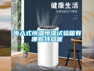 知識(shí)百科步入式恒溫恒濕試驗(yàn)箱有哪些特點(diǎn)呢