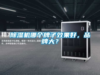 企業(yè)新聞除濕機(jī)哪個牌子效果好，品牌大？