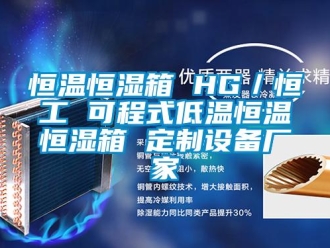 知識百科恒溫恒濕箱 HG／恒工 可程式低溫恒溫恒濕箱 定制設備廠家