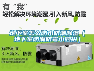 企業(yè)新聞地下室怎么防水防潮除濕（地下室防潮防霉小妙招）