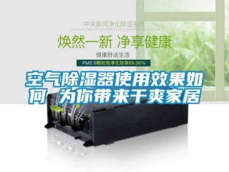 行業(yè)新聞空氣除濕器使用效果如何 為你帶來(lái)干爽家居