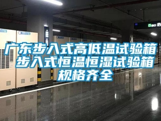 知識百科廣東步入式高低溫試驗箱 步入式恒溫恒濕試驗箱 規格齊全
