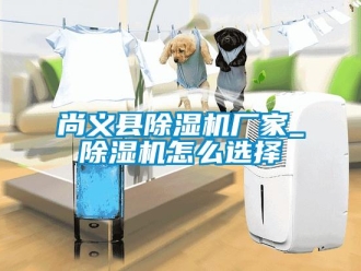企業新聞尚義縣除濕機廠家_除濕機怎么選擇