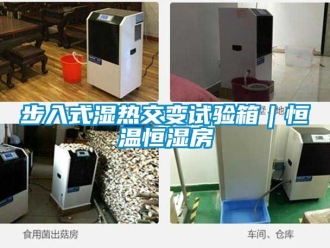 知識百科步入式濕熱交變試驗箱｜恒溫恒濕房