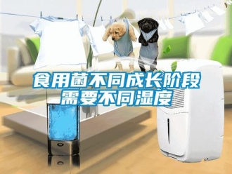 知識百科食用菌不同成長階段需要不同濕度