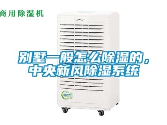 企業新聞別墅一般怎么除濕的，中央新風除濕系統