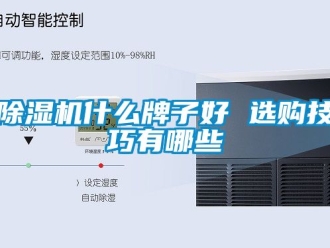 行業新聞除濕機什么牌子好 選購技巧有哪些