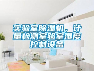 行業(yè)新聞實驗室除濕機，計量檢測室驗室濕度控制設(shè)備