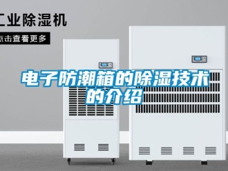 常見問題電子防潮箱的除濕技術的介紹