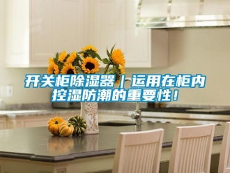 行業(yè)新聞開關(guān)柜除濕器｜運(yùn)用在柜內(nèi)控濕防潮的重要性！