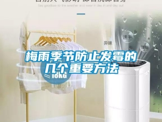 行業新聞梅雨季節防止發霉的幾個重要方法