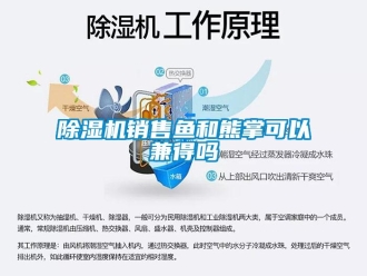 常見問題除濕機銷售魚和熊掌可以兼得嗎